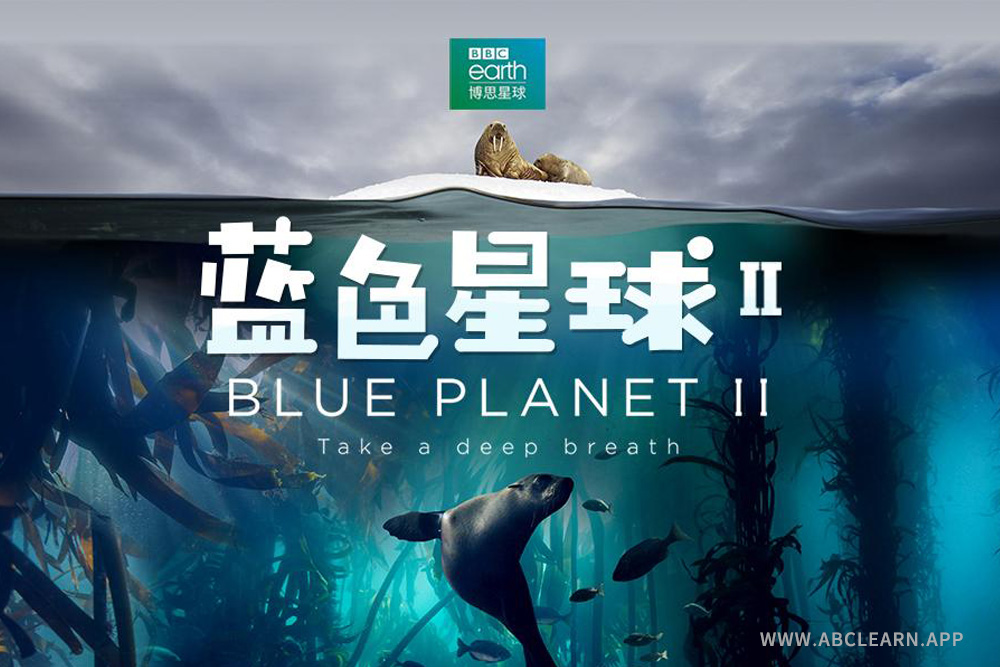 BBC纪录片《蓝色星球》全集(1+2季中英文版资源)